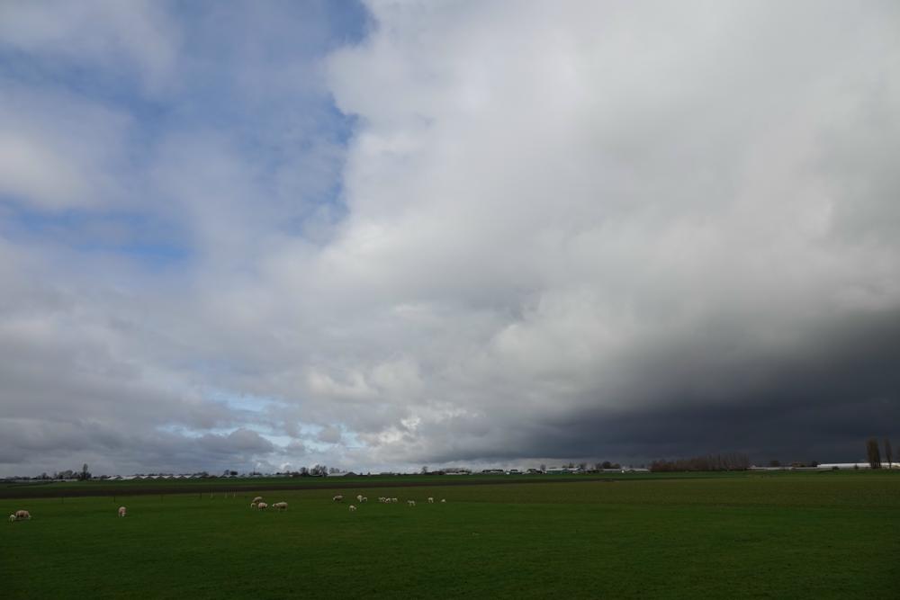 20230219_Frans Goossens_Vrouwenakker.jpg