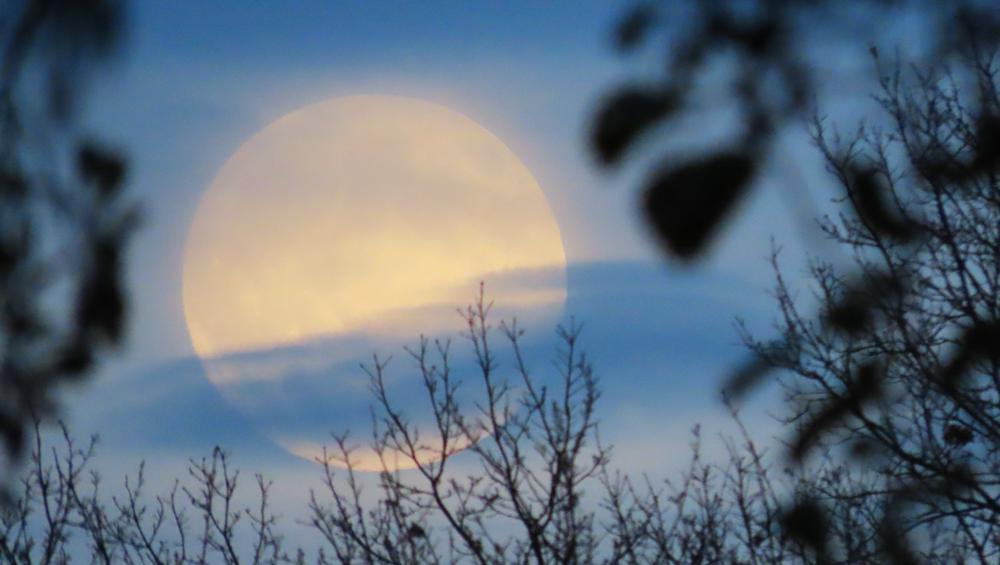 Erna Kool, Wijchen.jpg