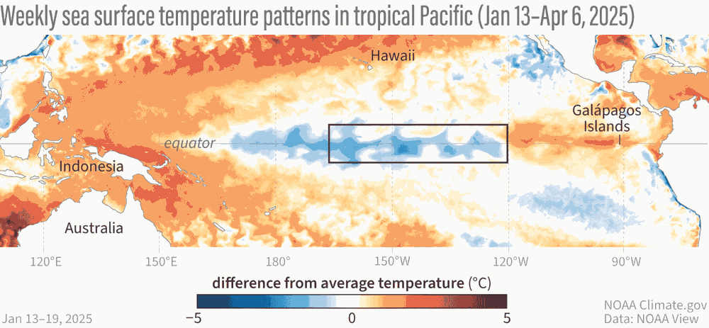 Het water voor de kust van Zuid-Amerika begint snel op te warmen. Pas als de opwarming ook in de 'Key monitor area' zichtbaar wordt komt een El Nino dichterbij.
