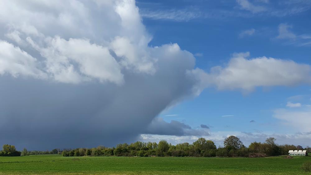bevrijdingsdagKirstenBunschoten.jpg