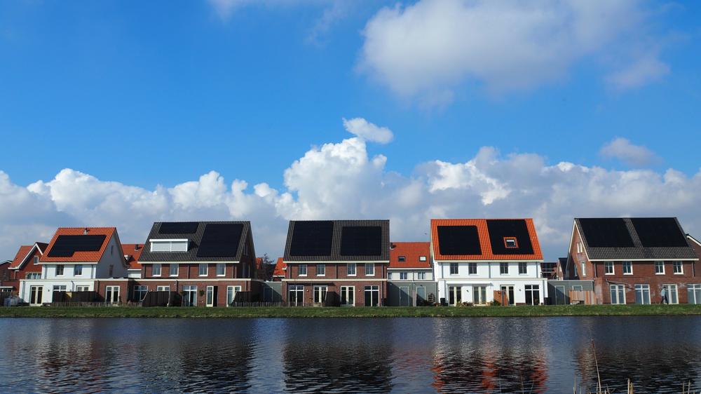 240306_Nellie Bartels_Hillegom.jpg