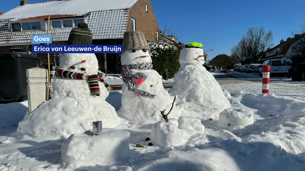 sneeuwpop.png