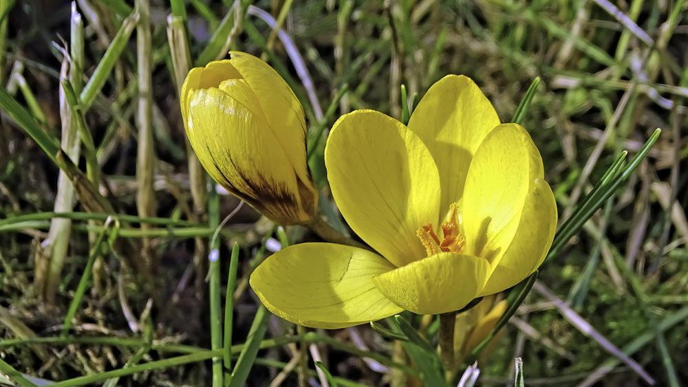 9012353_source.jpg 9012353_source.jpg