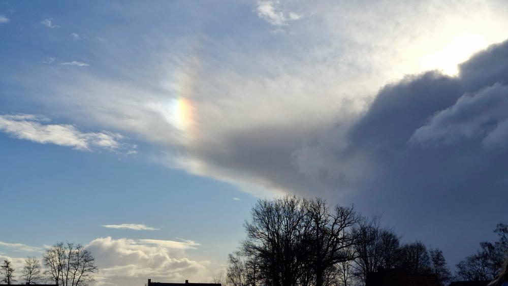 Jolanda Pelkmans_Gilze2.jpg