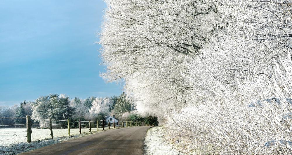 Ruige rijp - wanneer de mist is opgetrokken... (archieffoto 11-01-2022: Wouter van Bernebeek)