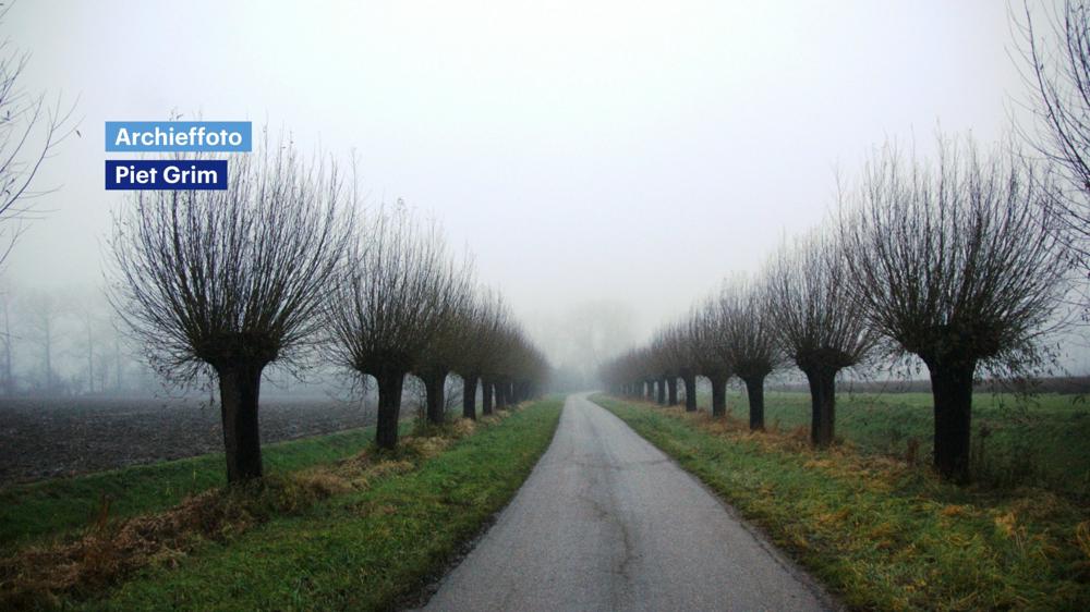 04_12 blog vochtige lucht.jpg