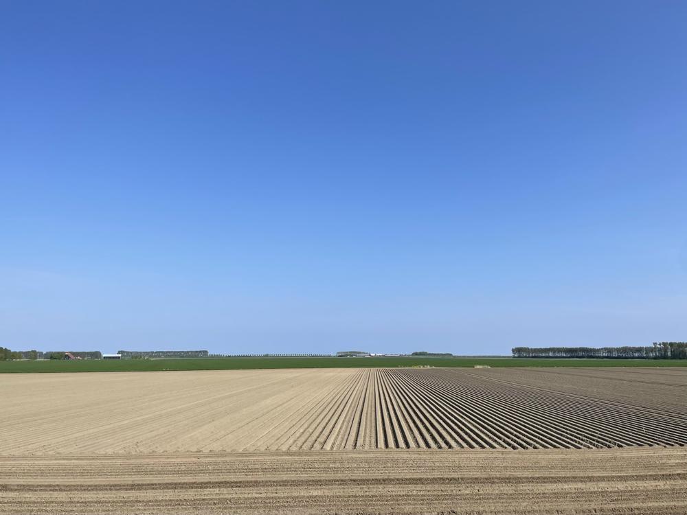 20220428_Erica van Leeuwen-de Bruijn_Kloetinge.jpg