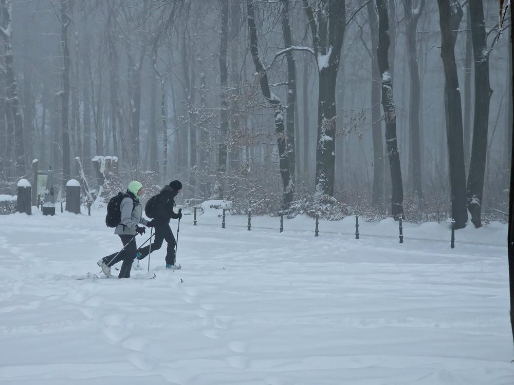 sneeuwphilippeschambergen1.jpg