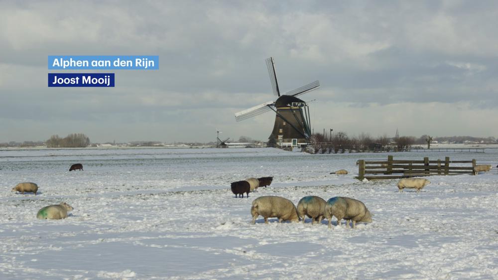 12_12 blog cover.jpg