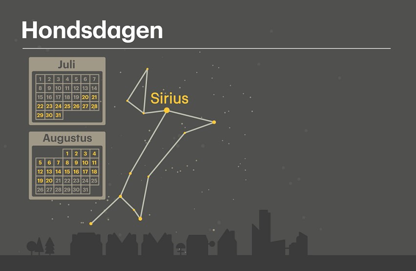 hondsdagen.jpg